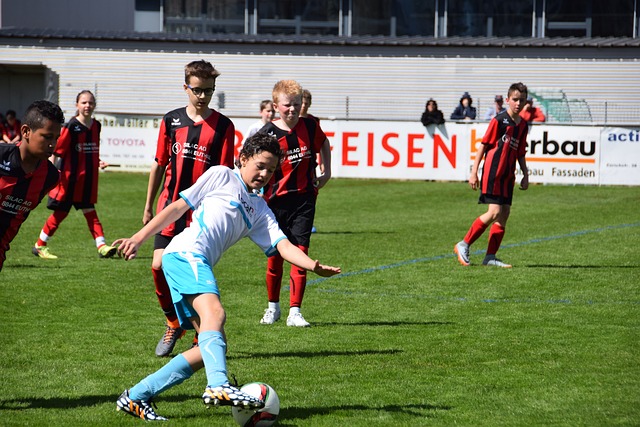 在这一季W 在这一季W