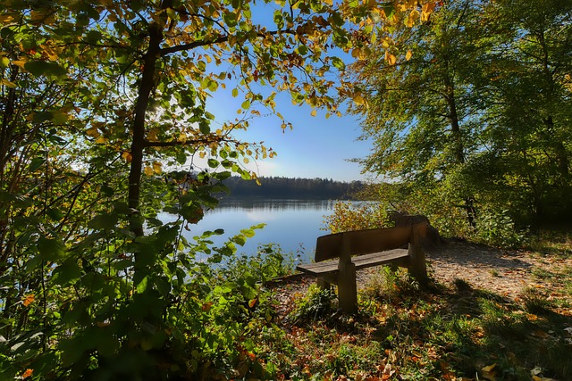 以日本为例 以日本为例