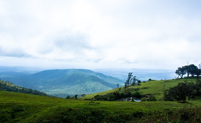 作能力出色 作能力出色