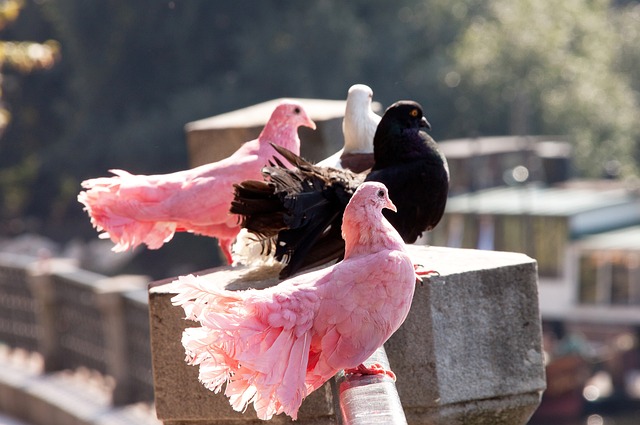的整体提升 的整体提升