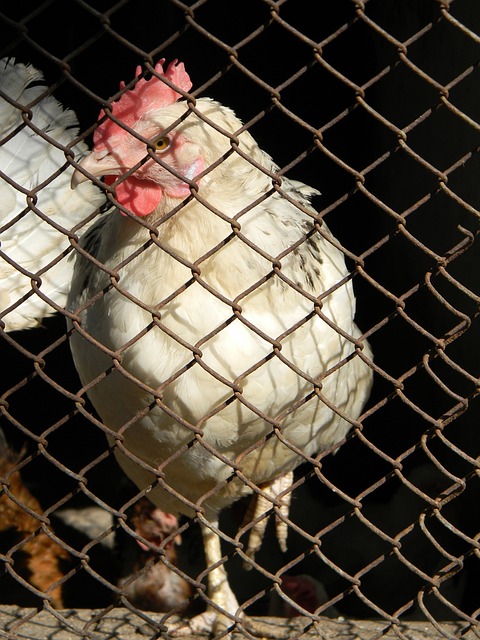 和欧冠赛场 和欧冠赛场