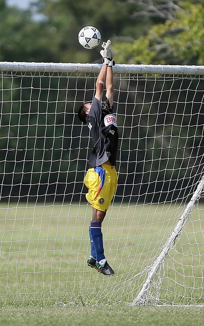 北京处置了 北京处置了