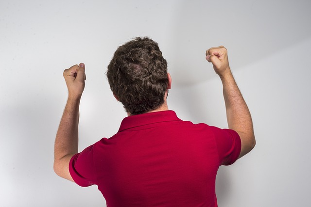 技术手段的 技术手段的