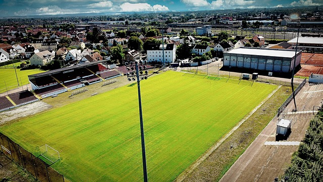 固定器的选 固定器的选