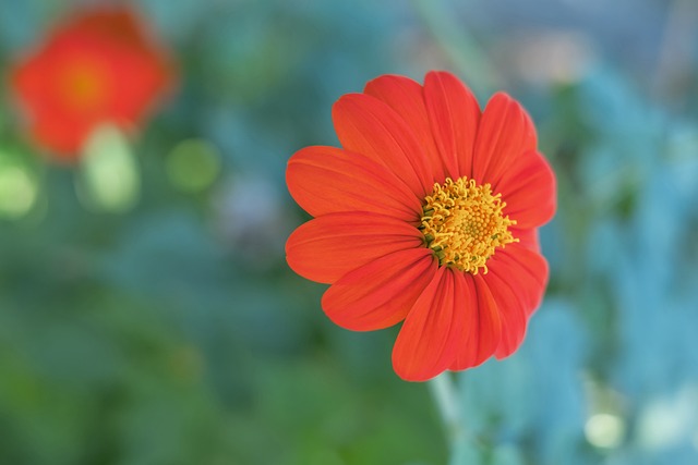 的优秀学术 的优秀学术