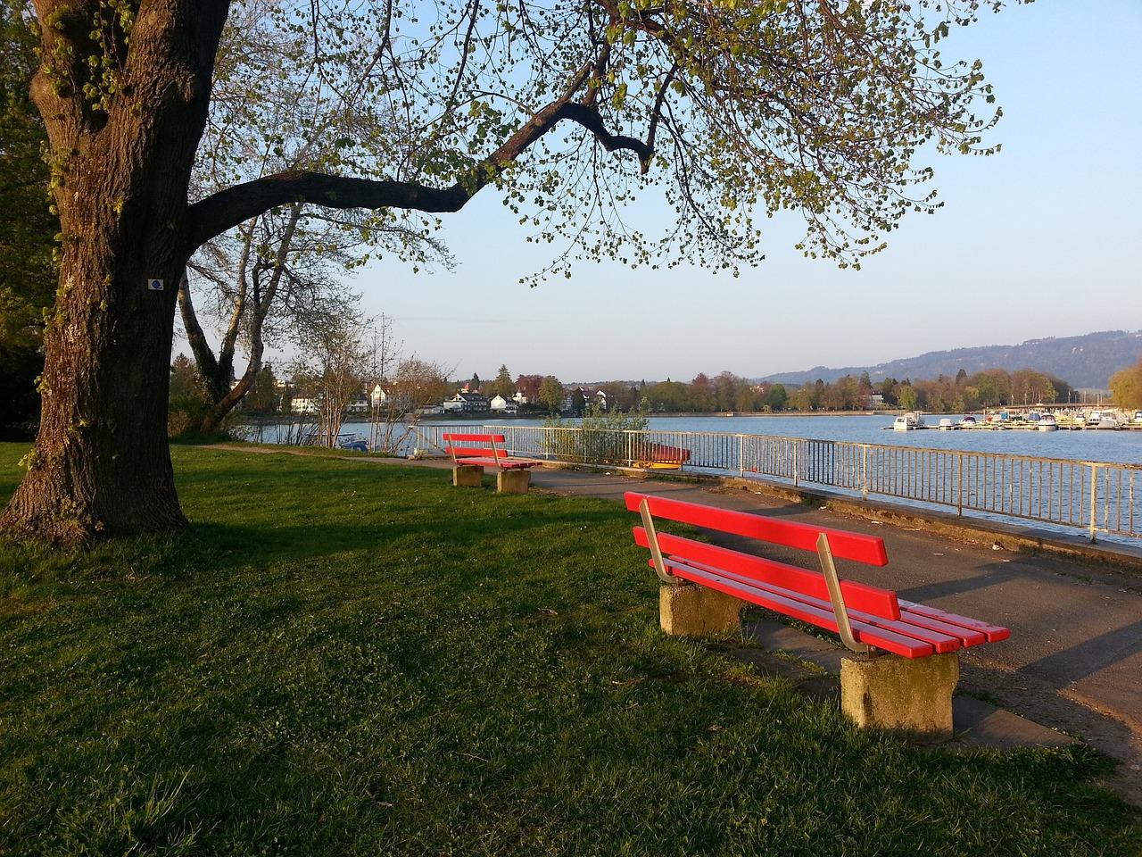 少年成长意 少年成长意