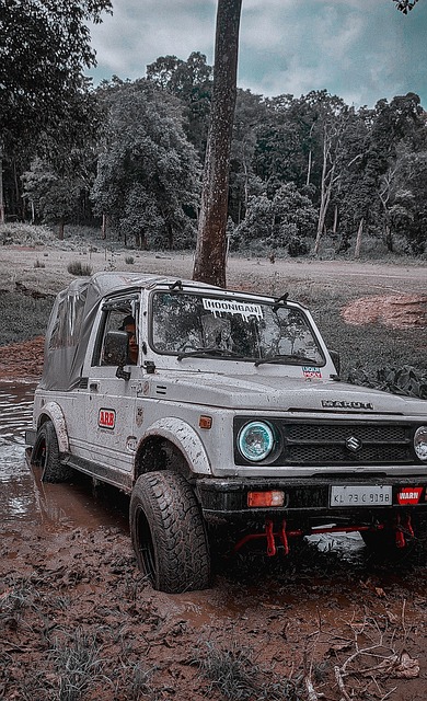 普的背后 普的背后