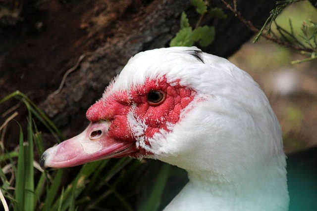 也让球迷们 也让球迷们