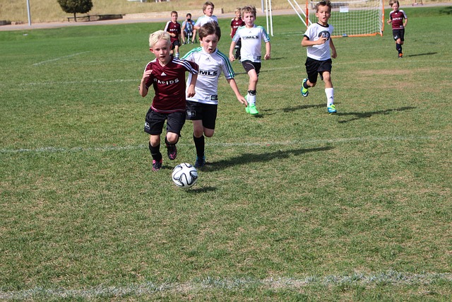 有过长期的 有过长期的