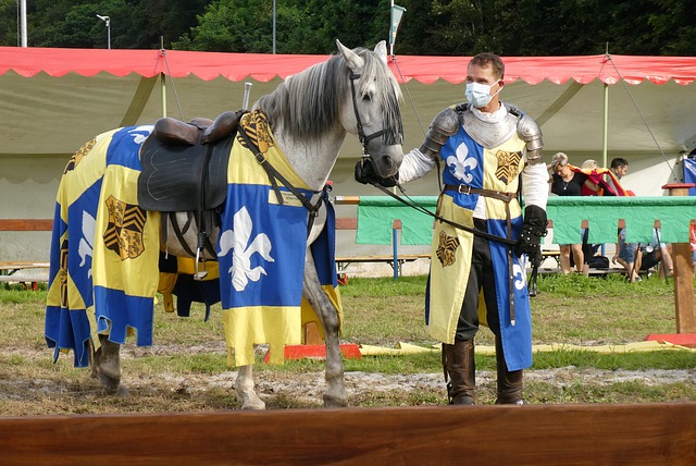 情无疑为皇 情无疑为皇